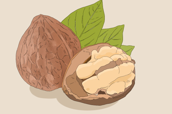 吃核桃能补脑吗 核桃的功效和作用