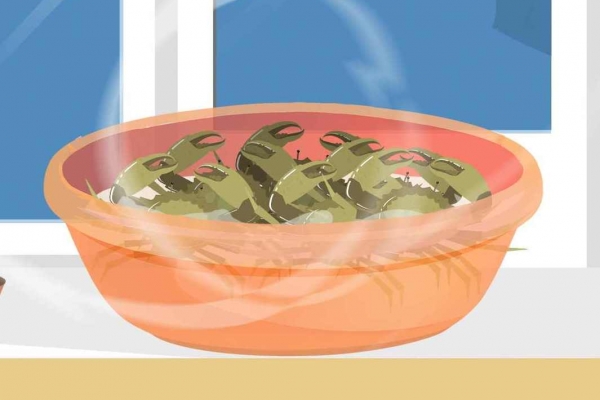 绿豆和什么不能一起吃