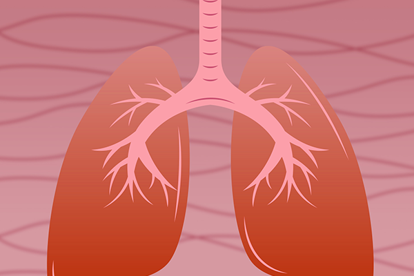 肺结核的症状有哪些 肺结核饮食禁忌