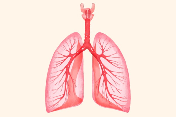伤肺的食物大盘点 养肺的食物有哪些
