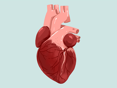 正常的心率是多少？ 如何保持健康的心率？