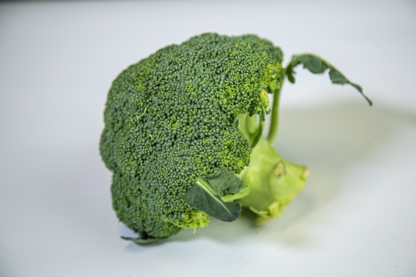 海参怎么做最好吃