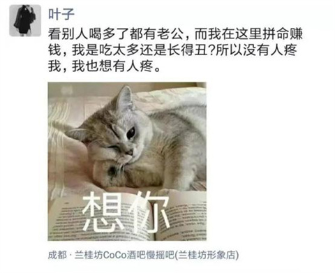 图片16.jpg