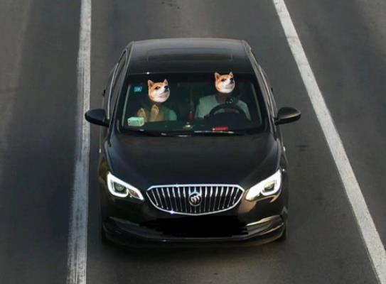 12123选号不小心确认了可以注销吗？网上选号和车管所号池一样吗