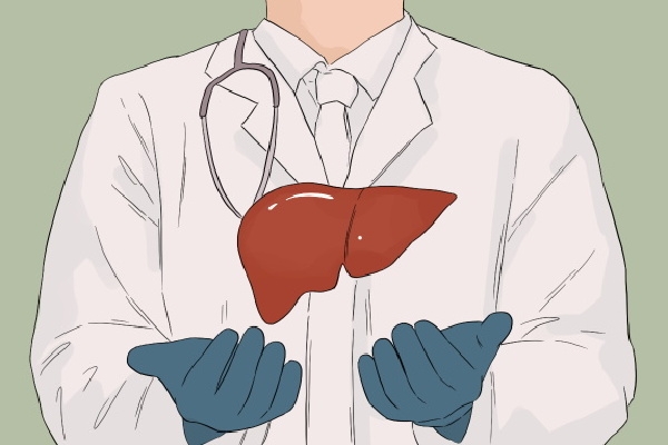 孢子粉对肝脏有好处吗