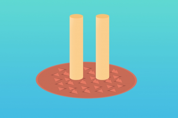 补肾艾灸有效果吗