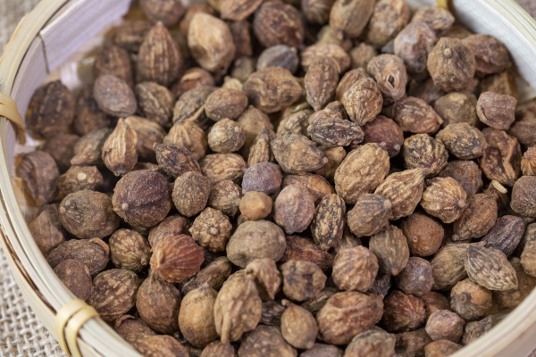 老年人吃益智仁有什么好处