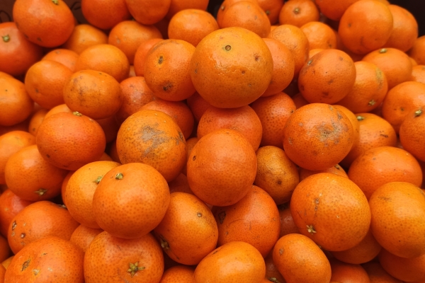 砂糖橘对消化系统的好处有哪些