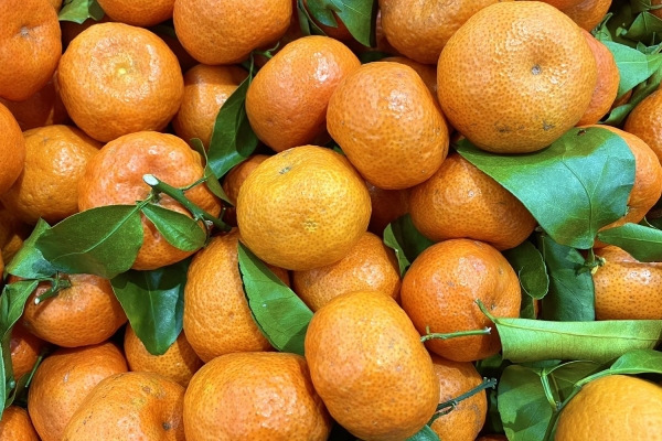 砂糖橘对女性健康有特别的益处吗