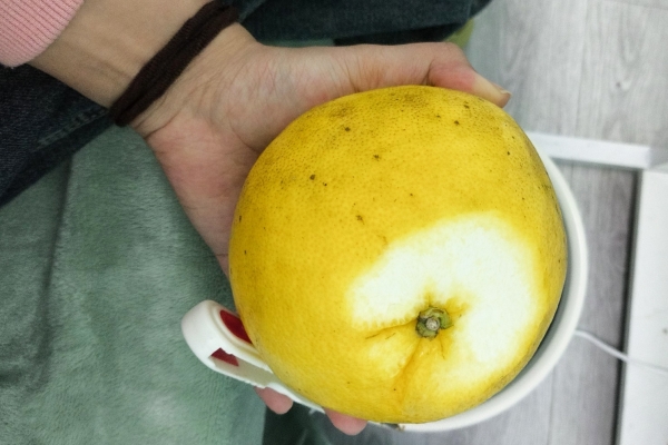 葡萄柚的抗氧化成分如何促进健康